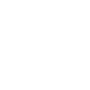 The Cocktail Experience